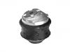 Support moteur Engine Mount:203 240 13 17