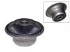 悬架衬套 Suspension Bushing:321 501 541